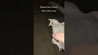 Bird screaming meme #memes #bird #doctor #shorts #screamingbird #loud #funny