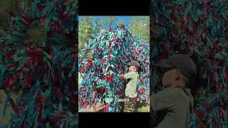ПУТЕШЕСТВИЕ ПО ГОРЕ САМПО