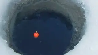 ДЕРЕВЕНСКИЙ ПРУД С РЫБОЙ! С ПОПЛАВКОМ НА КАРАСЯ!