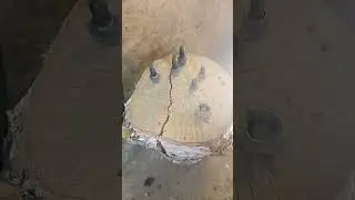 замена пыльника гранаты ваз 2110