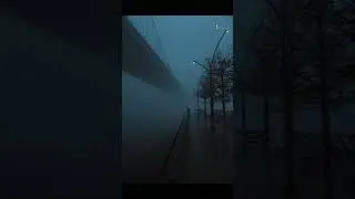 На каком фото почувствовал безысходность? 