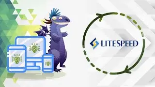 How to Install an SSL certificate on OpenLiteSpeed on CentOS | SSL Dragon