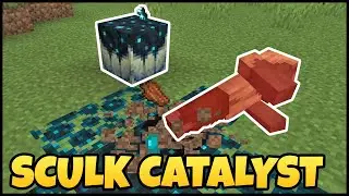 How To Use The SCULK CATALYST In MINECRAFT