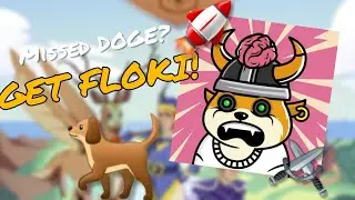 Missed Doge? Get Floki! - A Diamond Hands Perspective. 🐕⚔️🚀