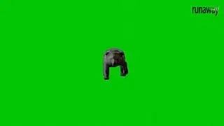 Bear Animation On Green Screen Green