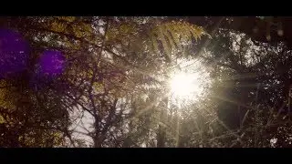Siente el otoño e invierno en Huelva - Huelva, mucho que ver