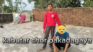 कबूतर चोर पकड़ा गया 😱 #pigeon #video #vlog #chori