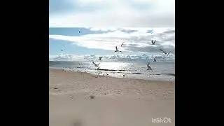 Родившиеся 25 числа