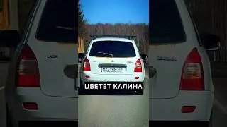 ВАЗ ЦВЕТЁТ  🌸 ВЕСНА     #авто #автомобили #смешно #юмор #видео #приколы #прикол #смешное #auto #ваз