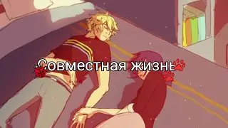 ~Переписка~Леди Баг и Супер Кот~"Совместная жизнь" 3 часть 18+