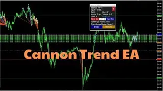 Cannon Trend EA – Trade with Discipline, Eliminate Emotions
