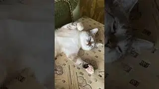 Меньше лишних движений…жарраааа