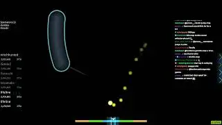 NO TITLE FIRST DT FC LEMUR 1037PP