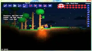 Баги в игре Terraria Часть 1.Баг на факела.