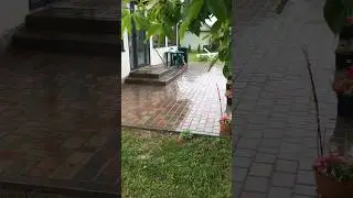 Paving slabs one year after installation #pavers #after #result #diyideas #walkway #paving #design