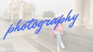 photography of birds