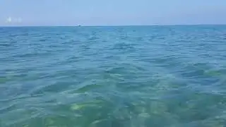 Крым, август, море, медузы, только истинные ценители смотрят ролик до конца.