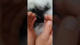 Зайчики 🐰🐰🐰