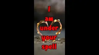 انا بحبك بالانجليزي .. طرق مختلفة للتعبير عن الحب