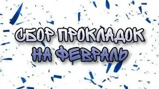 Сбор прокладок на февраль