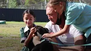 Puppy who almost starved to death reunites with rescuer