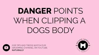 The dangers of clipping a dog's body.