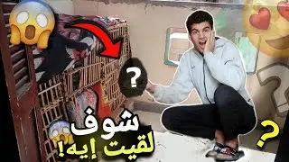 شوف لقيت ايه عند الحمام 😱🔥 اخر فديو مع الحمام 🕊️💔