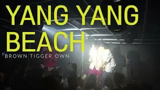 Brown Tigger, Own - 양양 비치 Live in Wonju Prost