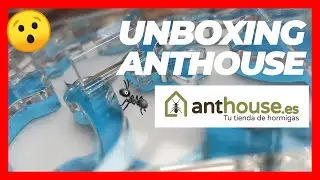 ➡️📦 UNBOXING de HORMIGUERO de ANTHOUSE! AntMeet
