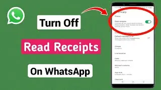 How To Turn Off Read Receipts On WhatsApp 2024