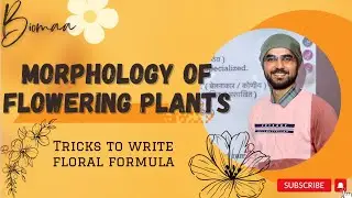 Tricks to write floral formula of Any family I Morphology of flowering plants