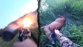 Hunt 