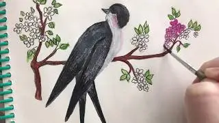 Весна / Поэтапно учимся рисовать ласточку
