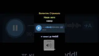Валентин Стрыкало - Наше лето кавер от да nedd! | подписывайтесь на тг канал  @daanedd