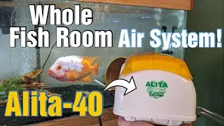 Fish Room Air System - Alita 40