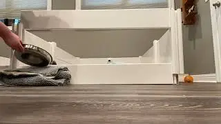Time Lapse of Barrier Challenge