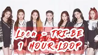 [Loca] - TRI.BE - 1 HOUR LOOP