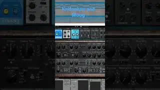 The Awesome Knifonium and Moog Subsequent 37CV! ❤️😍