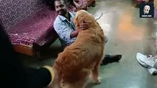দামি সেলুনের সার্ভিস বাড়িতে বসে পাওয়ার জন্য কি কি করলাম ।