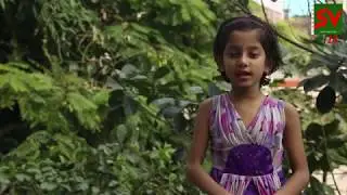 Mamar Bari ছড়া। কবিতা আবৃত্তি। Recitation। SV CHANNEL