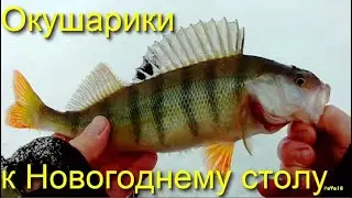 Первые Плещеевские окуньки 23   24 гг