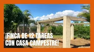 Finca de 12 tareas Con casa campestre y agrícola en Yamasa