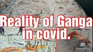 Reality of Ganga... in covid