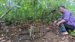Hunting create amazing trap to catch chicken in the forest
