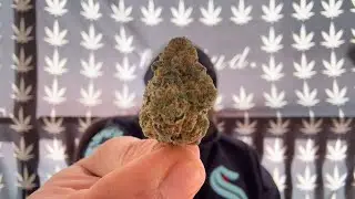Citron Flower Review from Grassroots