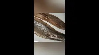 Как очень быстро разделать сельдь на филе