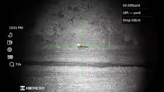 10 minutes of  HIKMICRO Alpex 4K fox shooting.