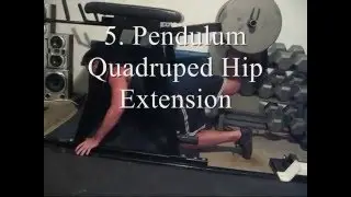 10 Great Glute/Ham Exercises off the Reverse Hyper