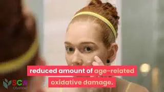 How Are Antioxidants Linked to Anti Aging