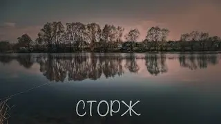 Сторж